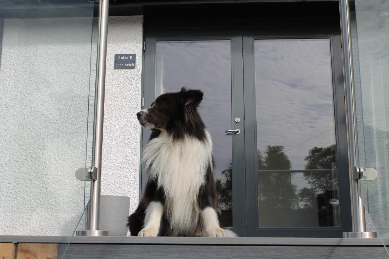 Ben Cruachan Inn - Restaurant, Pub With Rooms Loch Awe Ngoại thất bức ảnh